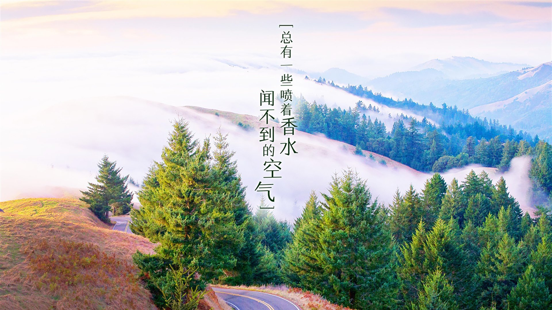 世俱杯决赛提前预演：两强激烈碰撞，世俱杯集锦