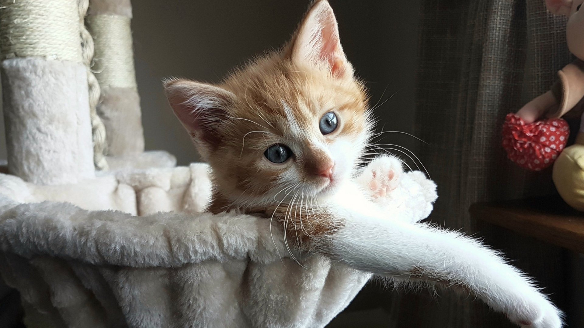 争冠与保级球队是否应以不同战术应对节奏压力，争冠组规则