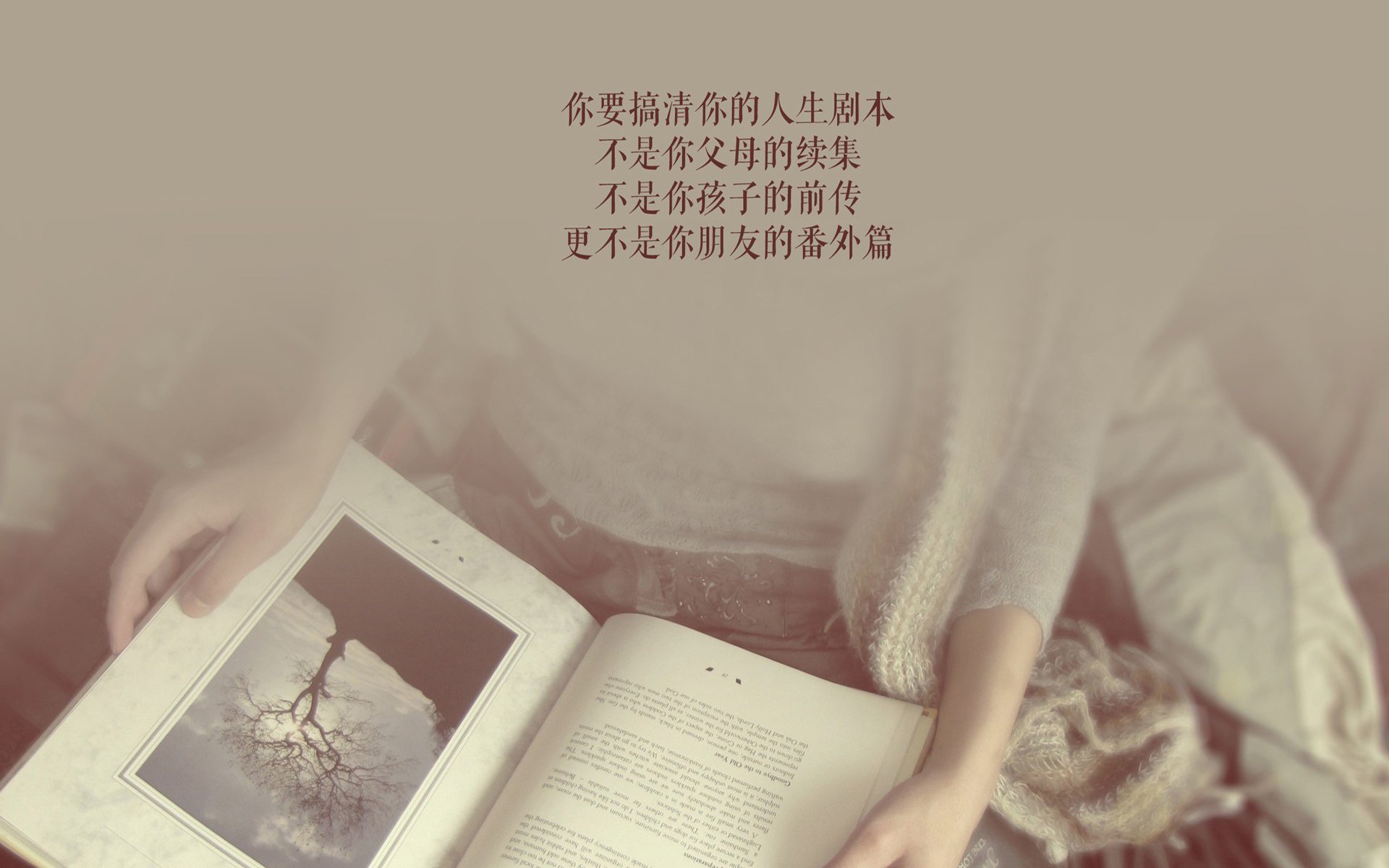 波兰队赛制解析：如何通过选手轮换保持团队的竞技状态，波兰队怎么样